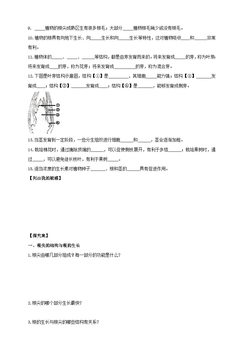 苏教版初中生物七下 4.9.2植物的生长 导学案(含答案)第2页