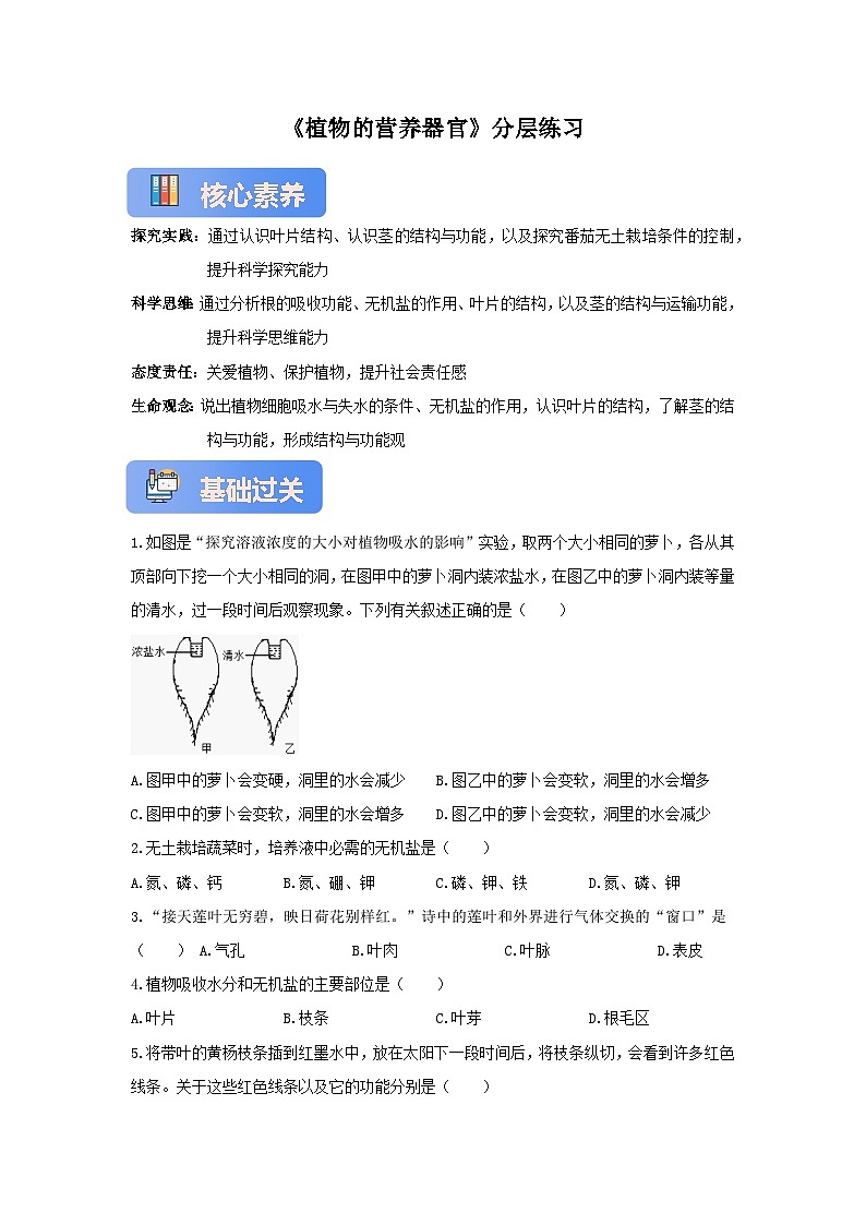 苏教版初中生物七下 4.10.1植物的营养器官 分层练习（含答案）第1页