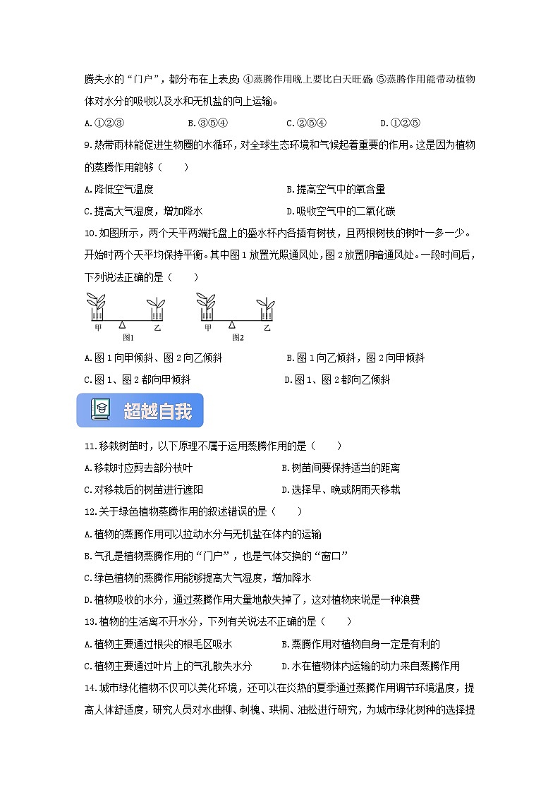 苏教版初中生物七下 4.10.2生物圈中的水循环 分层练习（含答案）第2页