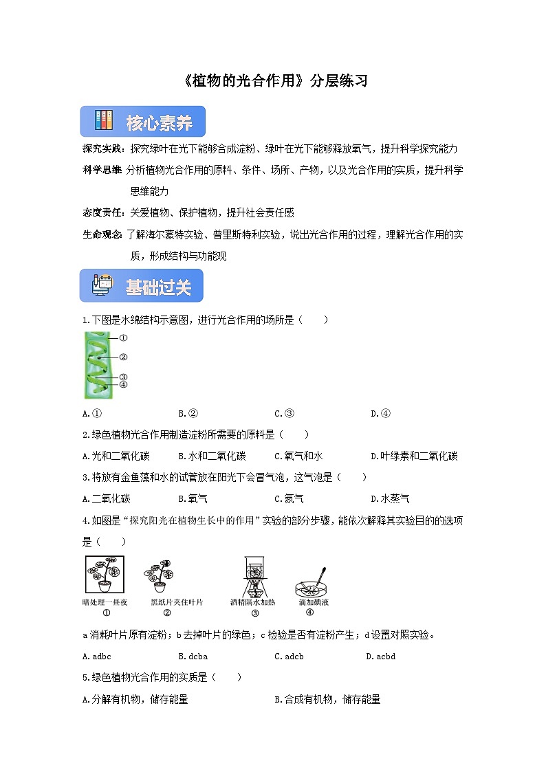 苏教版初中生物七下 4.11.1植物的光合作用 分层练习（含答案）第1页