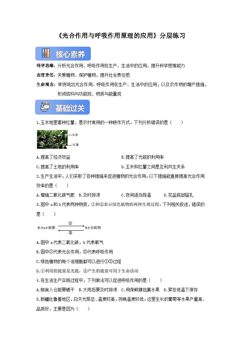 苏教版初中生物七下 4.11.3光合作用和呼吸作用原理的应用 分层练习（含答案）第1页
