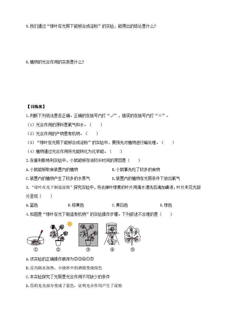 苏教版初中生物七下 4.11.1 植物的光合作用 导学案（含答案）第3页