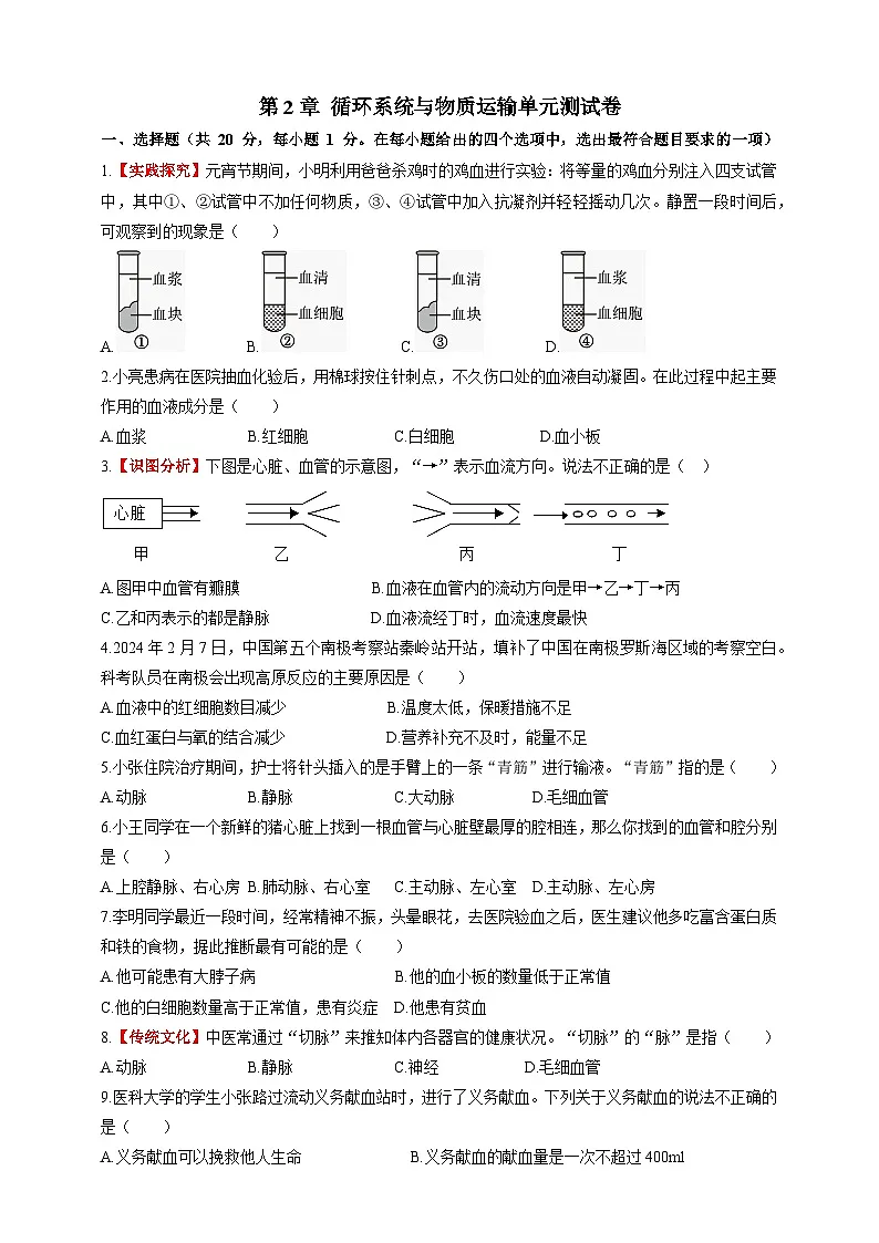 【情境卷】第2章 循环系统与物质运输单元测试卷--冀少版（2024）生物七下第1页