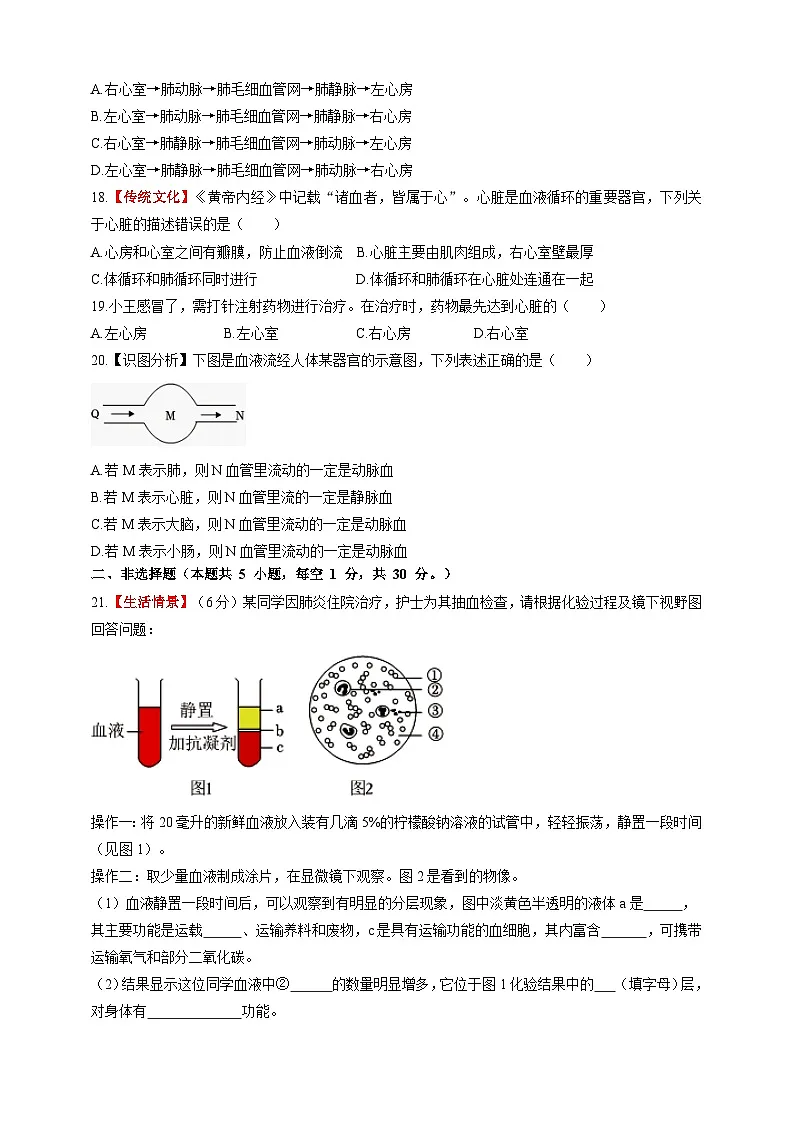 【情境卷】第2章 循环系统与物质运输单元测试卷--冀少版（2024）生物七下第3页