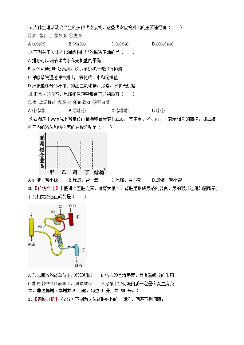 【情境卷】第4章 泌尿系统与废物排出单元测试卷--冀少版（2024）生物七下第3页