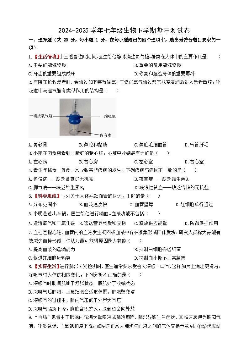 冀少版七下期中测试卷第1页