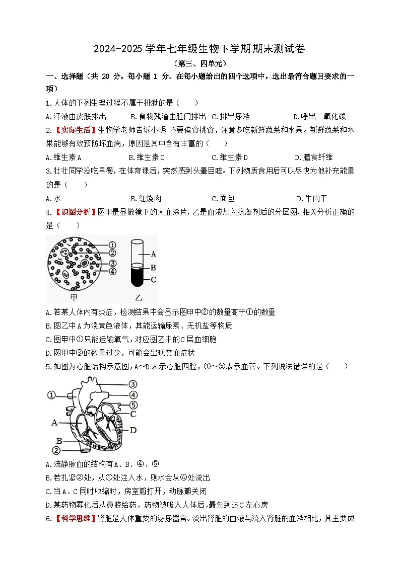 人教版七下期末测试卷第1页