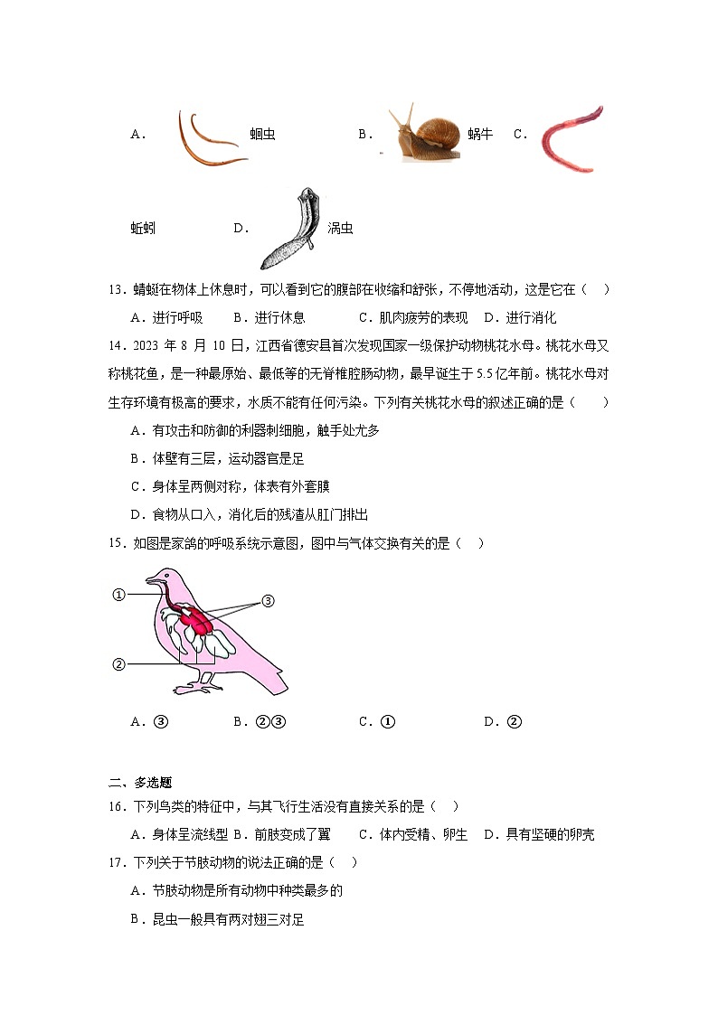 苏科版初中生物七下 4.8 动物的主要类群 测试题（含答案）第3页