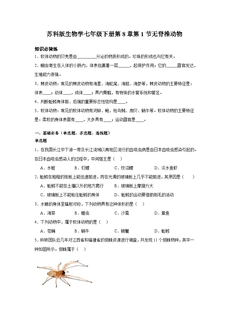 苏科版初中生物七下 4.8.1无脊椎动物 测试题（含答案）第1页