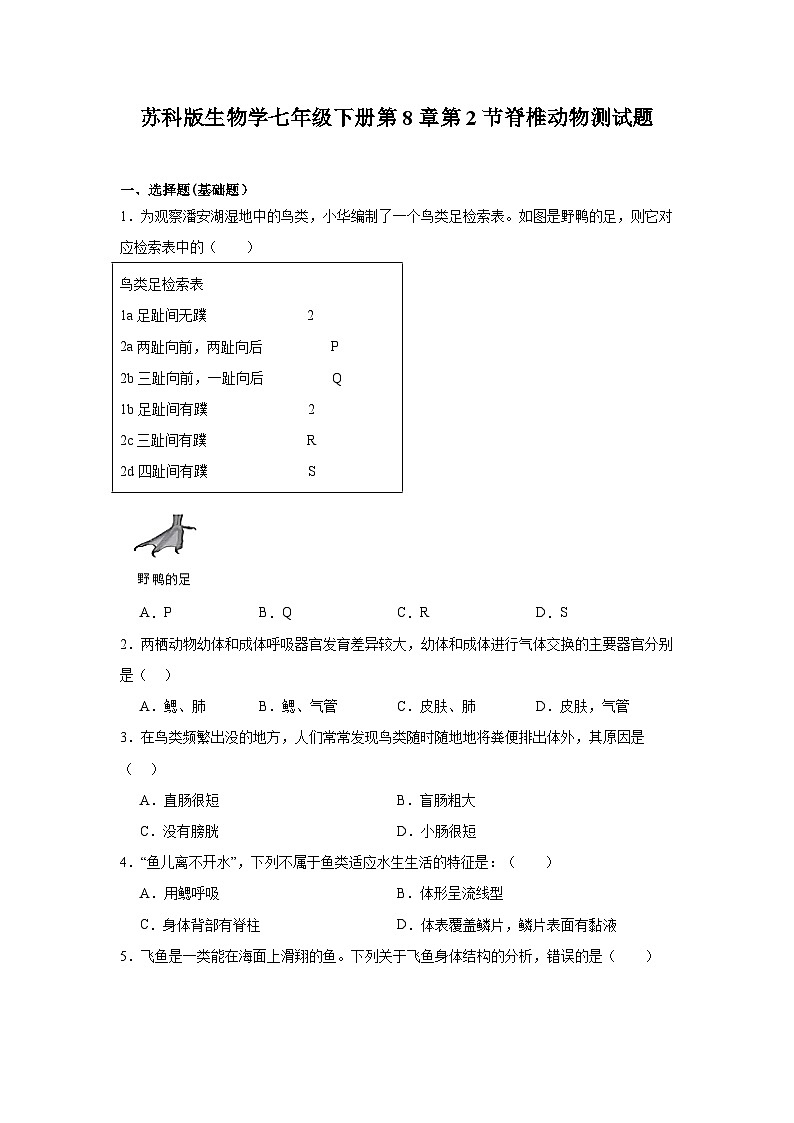 苏科版初中生物七下 4.8.2 脊椎动物 测试题（含答案）第1页