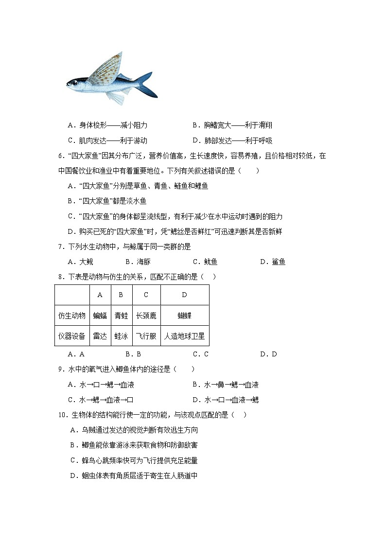 苏科版初中生物七下 4.8.2 脊椎动物 测试题（含答案）第2页