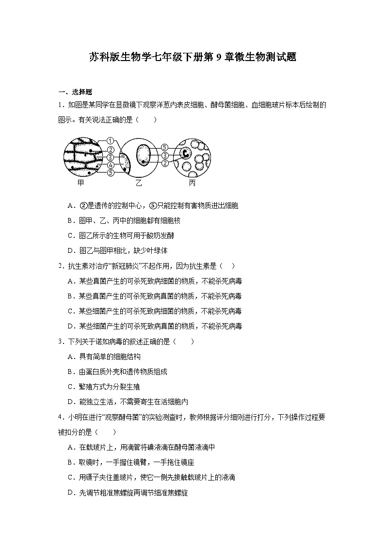 苏科版初中生物七下 4.9微生物 测试题（含答案）第1页