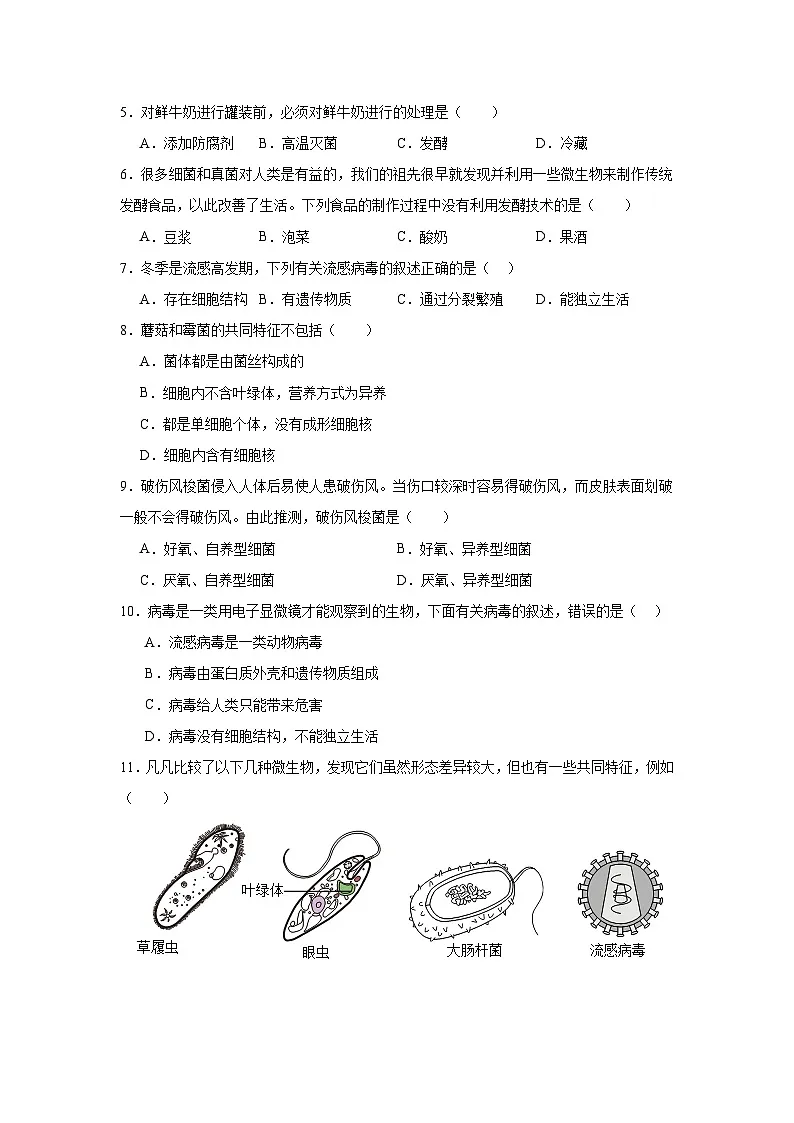 苏科版初中生物七下 4.9微生物 测试题（含答案）第2页