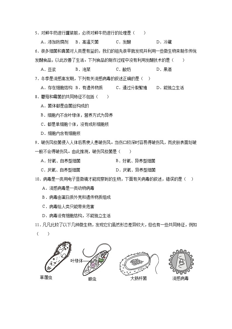 苏科版初中生物七下 4.9微生物 测试题（含答案）第2页