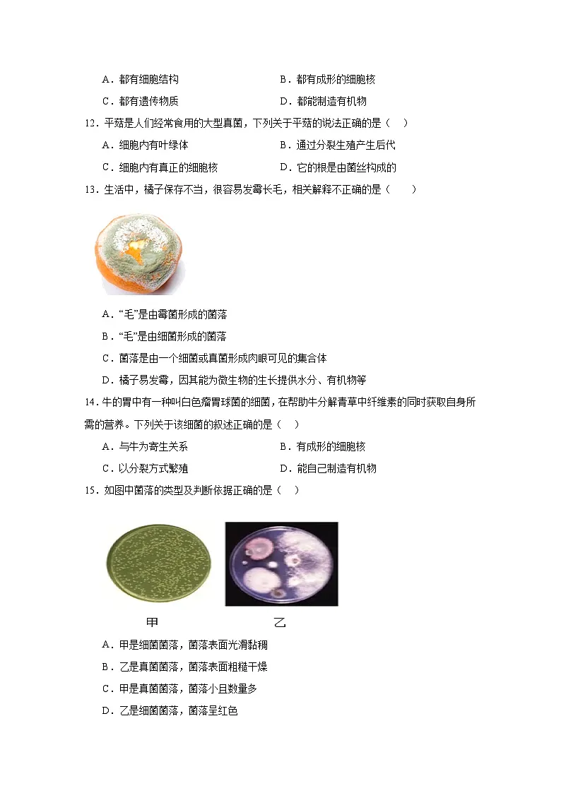 苏科版初中生物七下 4.9微生物 测试题（含答案）第3页