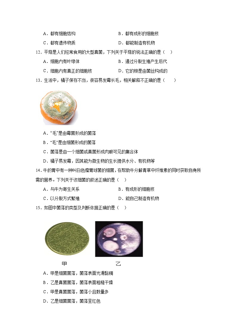 苏科版初中生物七下 4.9微生物 测试题（含答案）第3页