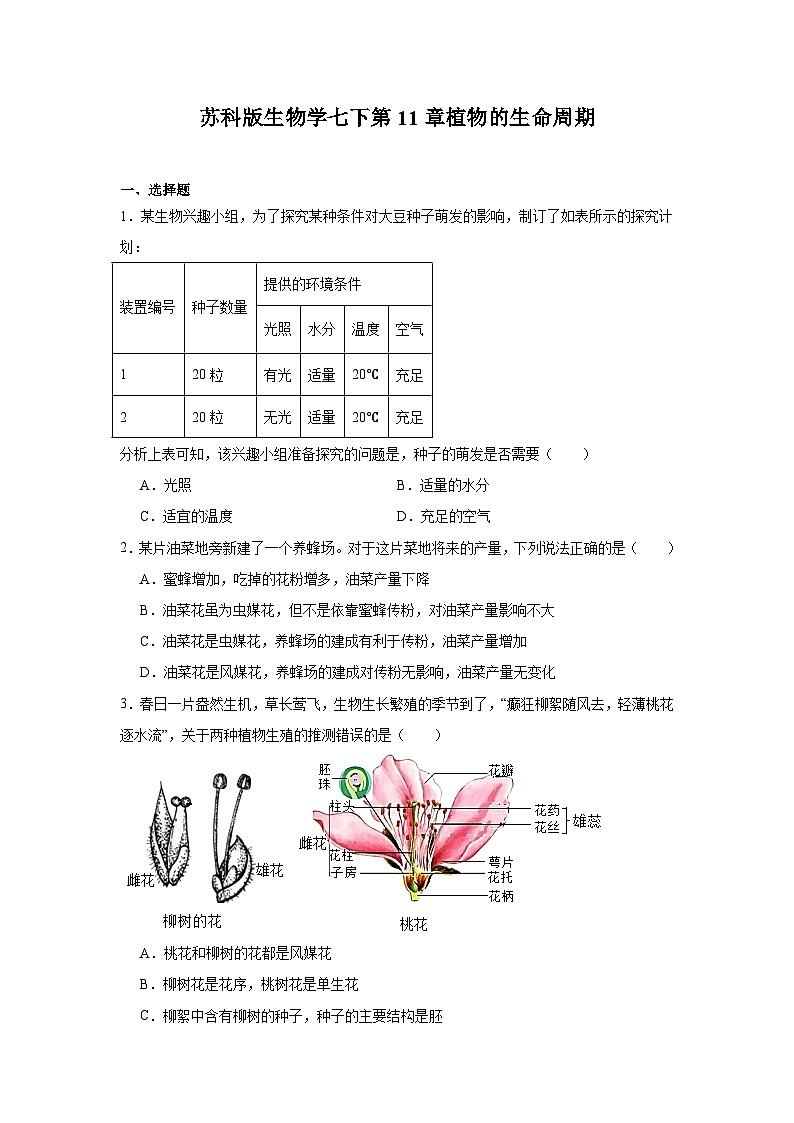 苏科版初中生物七下 5.11 植物的生命周期 同步练习（含答案）第1页
