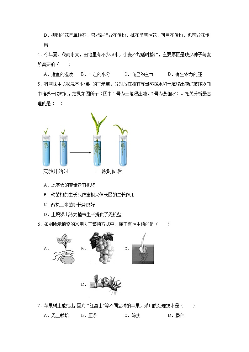 苏科版初中生物七下 5.11 植物的生命周期 同步练习（含答案）第2页