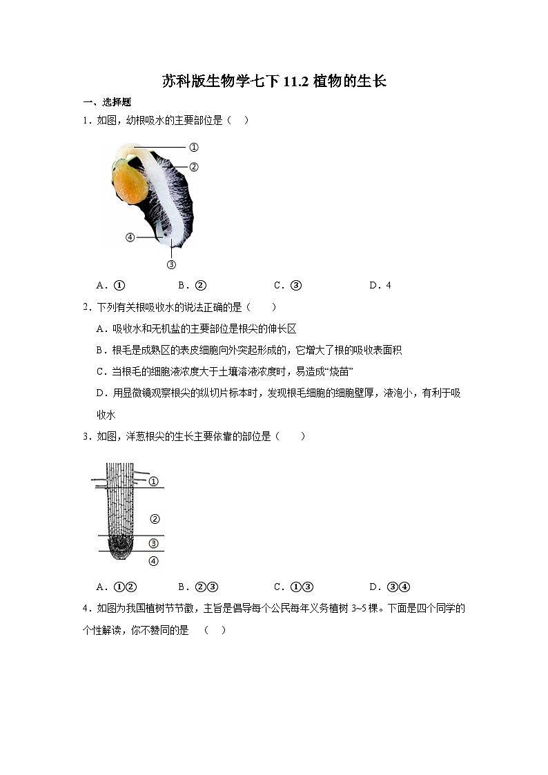 苏科版初中生物七下 5.11.2植物的生长 同步练习（含答案）第1页