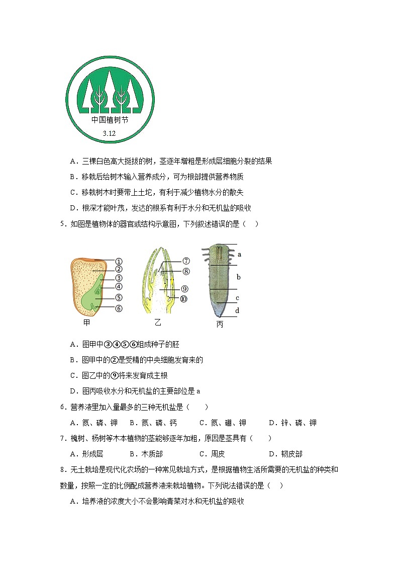 苏科版初中生物七下 5.11.2植物的生长 同步练习（含答案）第2页