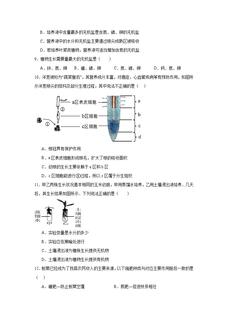 苏科版初中生物七下 5.11.2植物的生长 同步练习（含答案）第3页