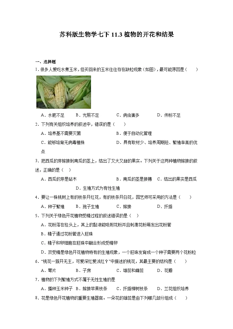 苏科版初中生物七下 5.11.3植物的开花和结果 同步练习（含答案）第1页