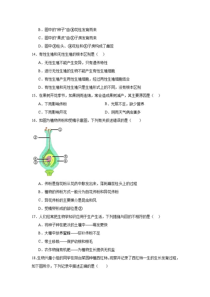 苏科版初中生物七下 5.11.3植物的开花和结果 同步练习（含答案）第3页