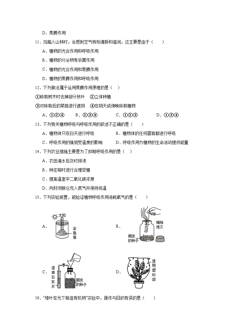 苏科版初中生物七下 5.12 植物维持生物圈的稳定 同步练习（含答案）第3页