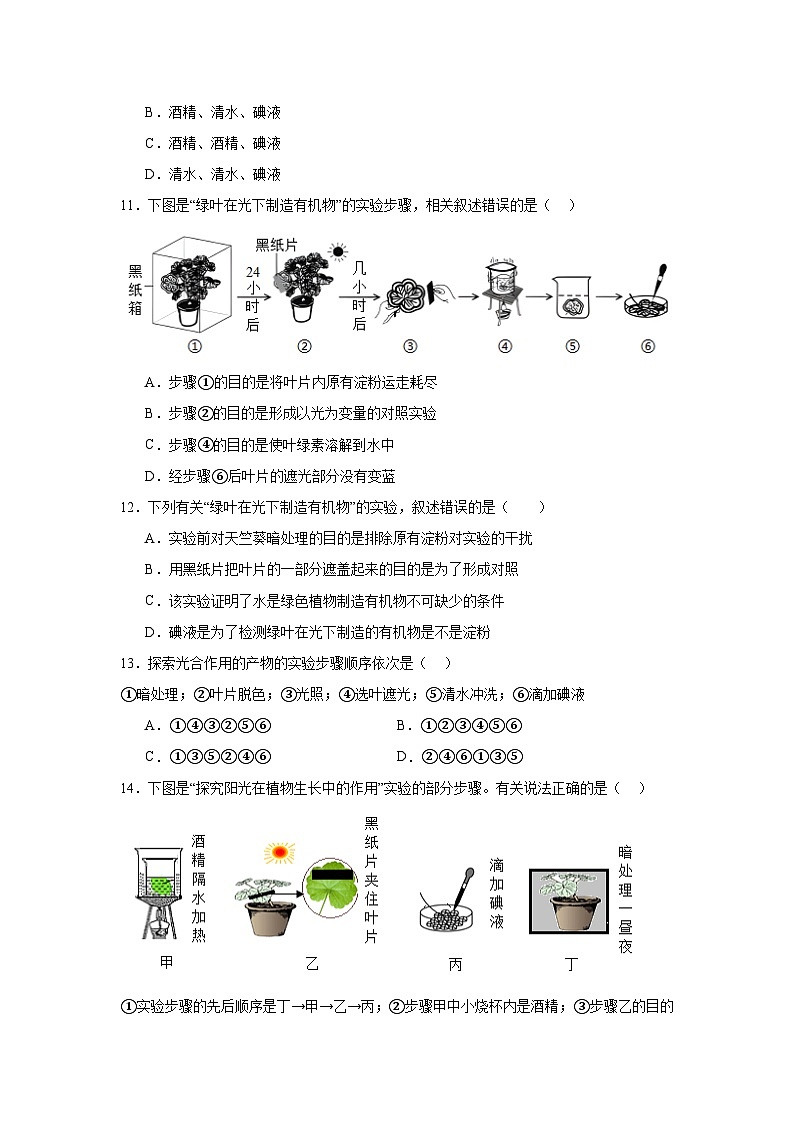 苏科版初中生物七下 5.12.1植物是生物圈中的生产者 同步练习（含答案）第3页