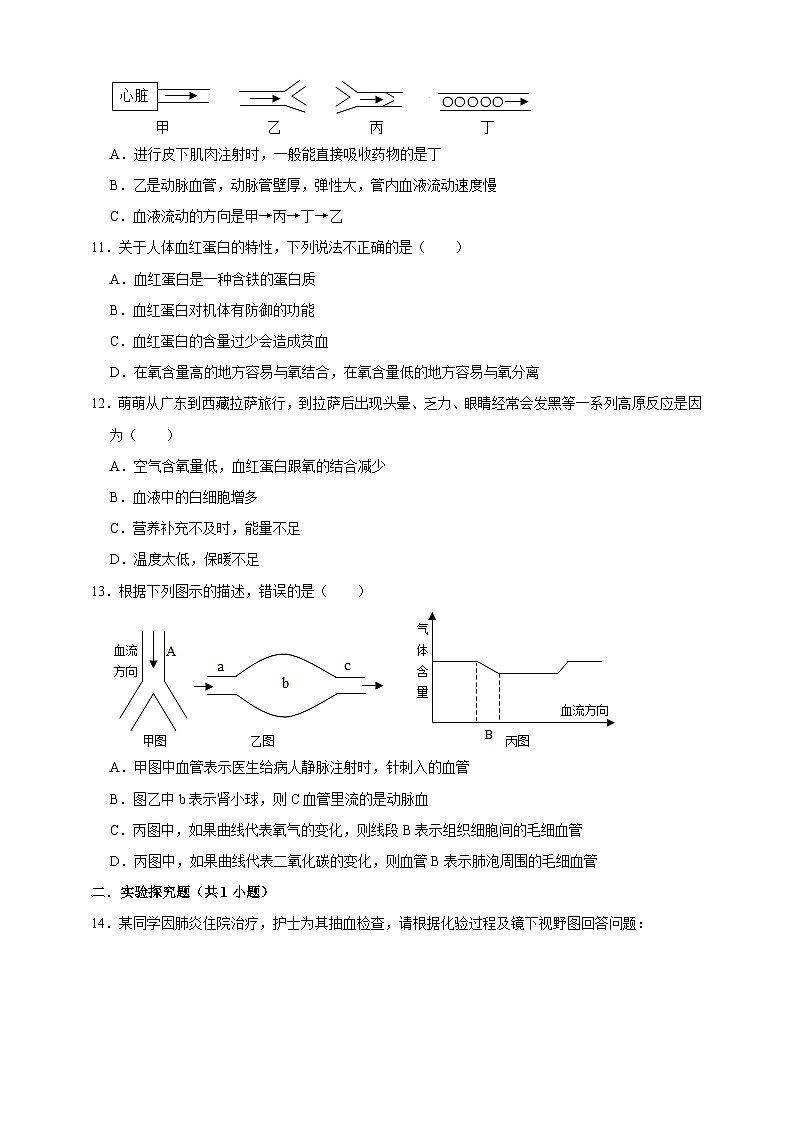 【期末核心考点】人体内物质的运输 练习（含解析）-北京版初中生物七年级下册第3页