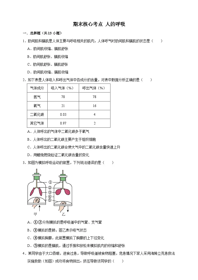 【期末核心考点】人的呼吸 练习（含解析）-北京版初中生物七年级下册第1页