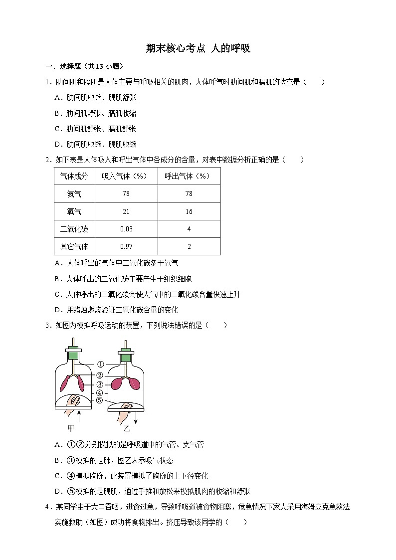 【期末核心考点】人的呼吸 练习（含解析）-北京版初中生物七年级下册第1页