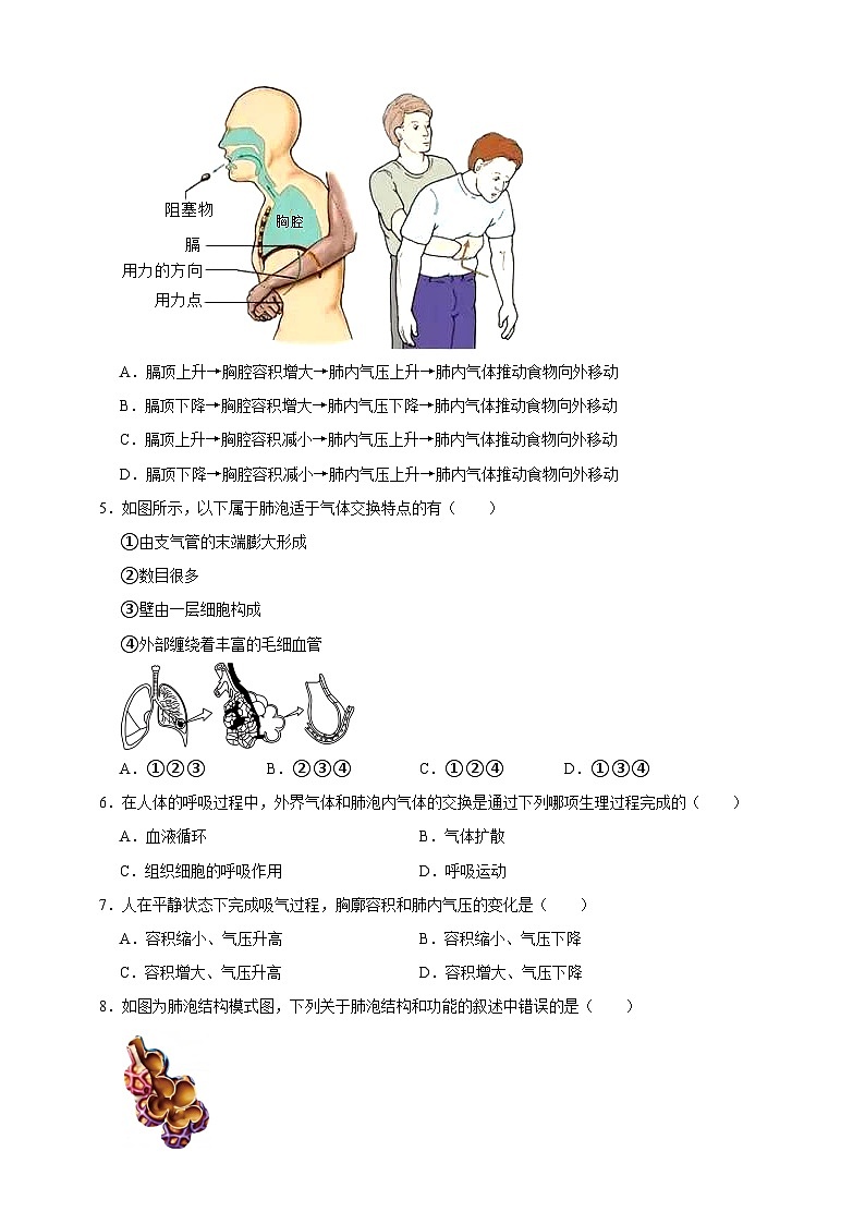 【期末核心考点】人的呼吸 练习（含解析）-北京版初中生物七年级下册第2页