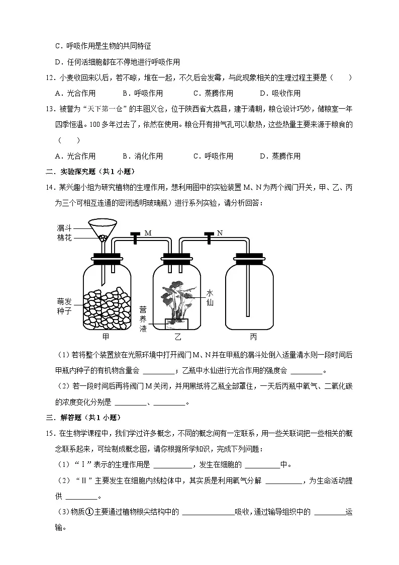 【期末核心考点】呼吸与呼吸作用 练习（含解析）-北京版初中生物七年级下册第3页