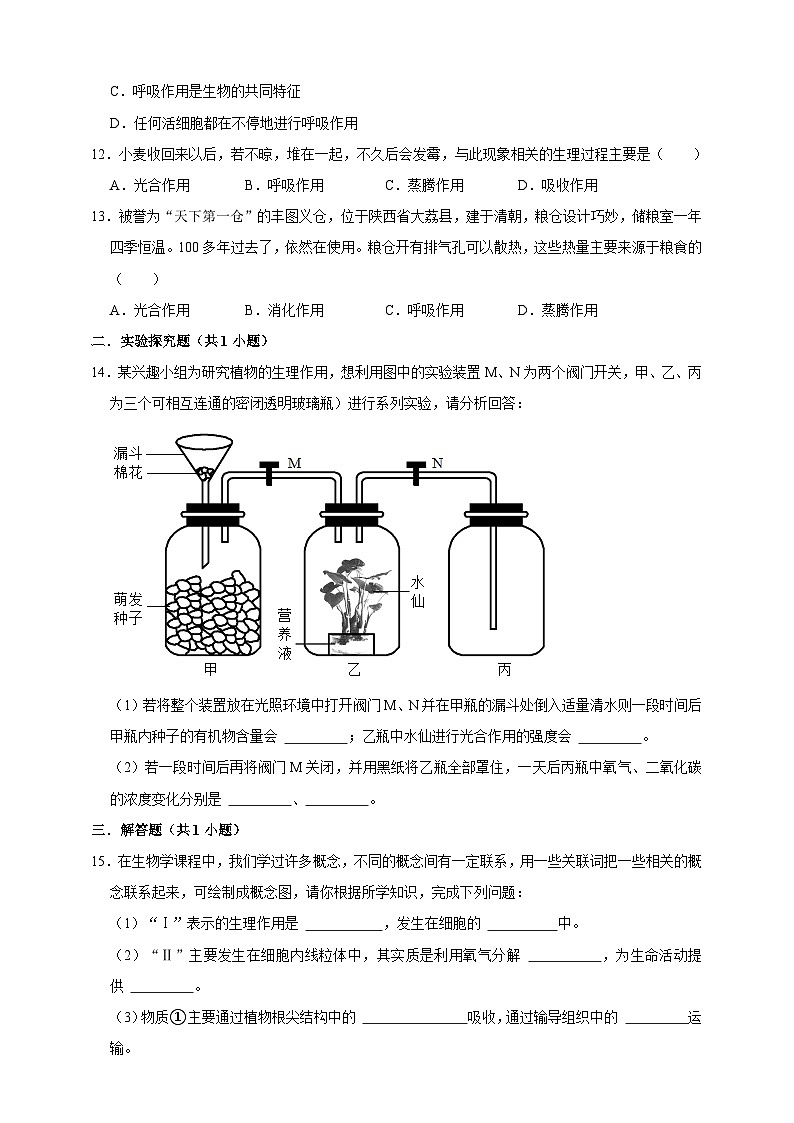 【期末核心考点】呼吸与呼吸作用 练习（含解析）-北京版初中生物七年级下册第3页