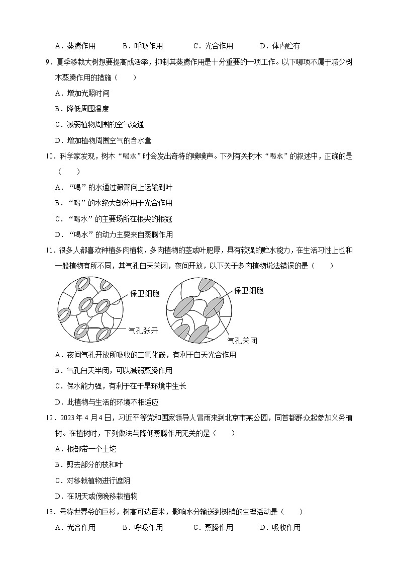 【期末核心考点】植物体内物质的运输 练习（含解析）-北京版初中生物七年级下册第2页