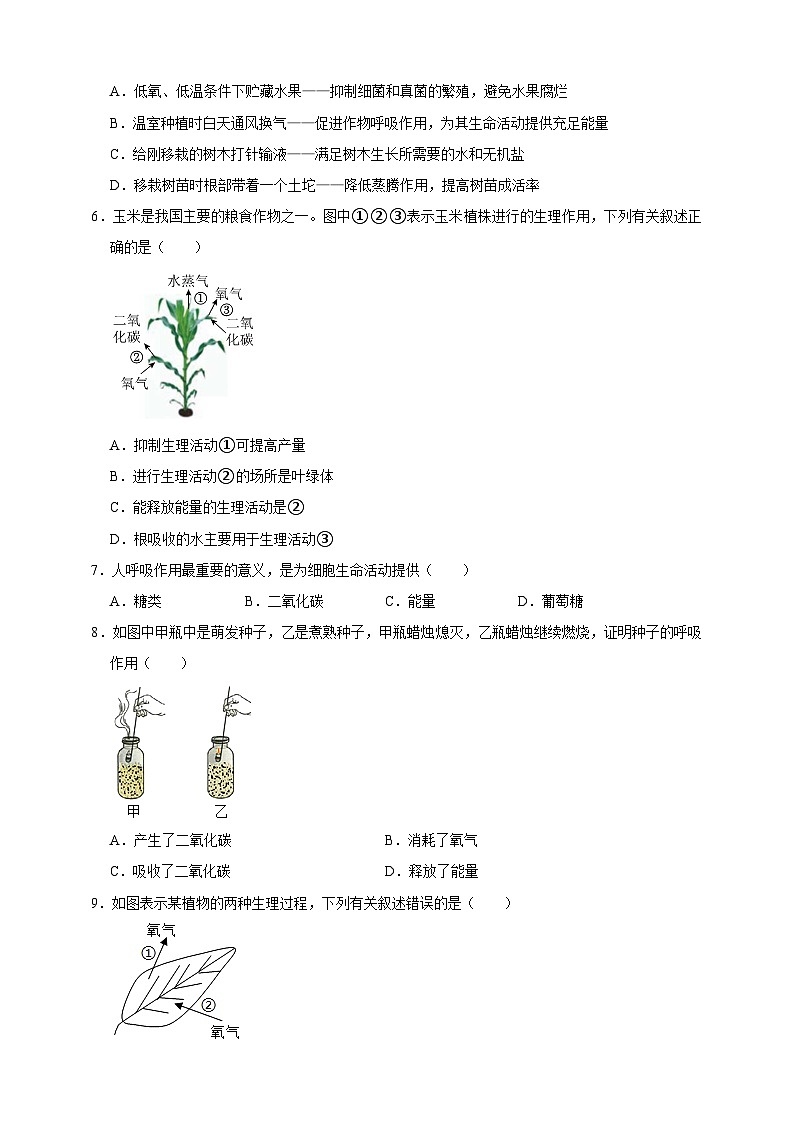【期末核心考点】植物的呼吸 练习（含解析）-北京版初中生物七年级下册第2页