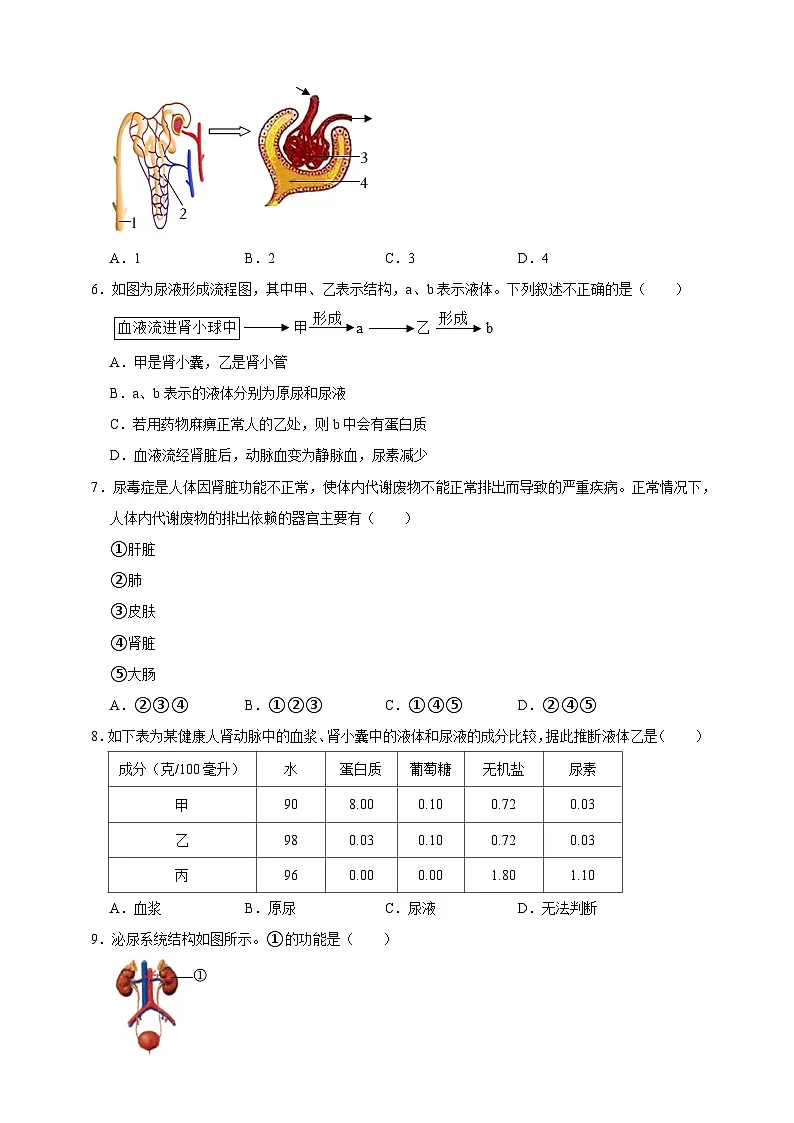 【期末核心考点】生物的排泄 练习（含解析）-北京版初中生物七年级下册第2页