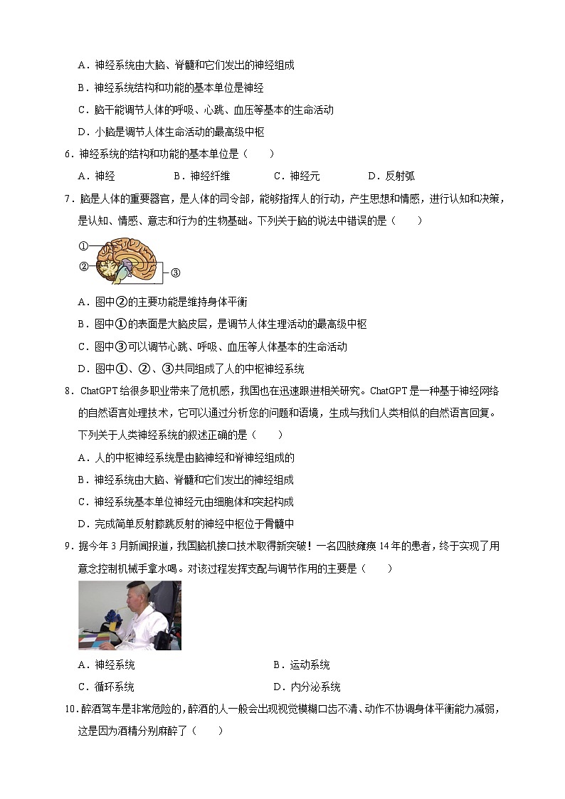 【期末核心考点】神经系统的组成 练习（含解析）-北京版初中生物七年级下册第2页