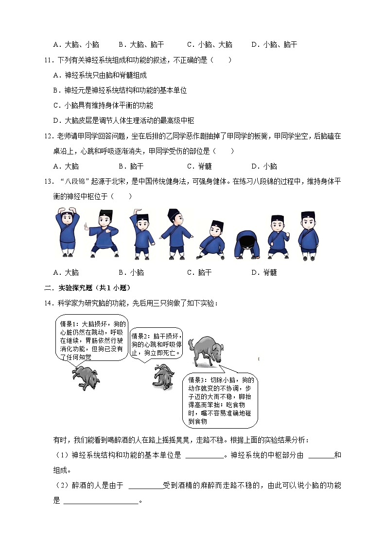 【期末核心考点】神经系统的组成 练习（含解析）-北京版初中生物七年级下册第3页