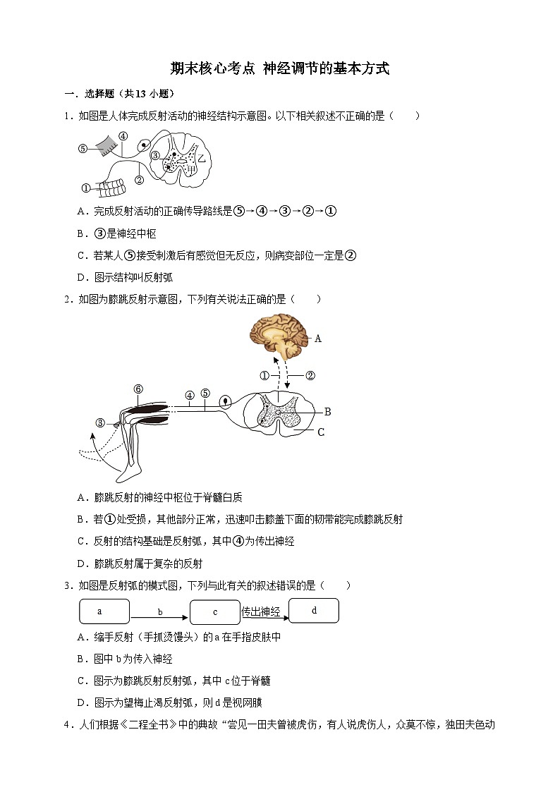 【期末核心考点】神经调节的基本方式 练习（含解析）-北京版初中生物七年级下册第1页