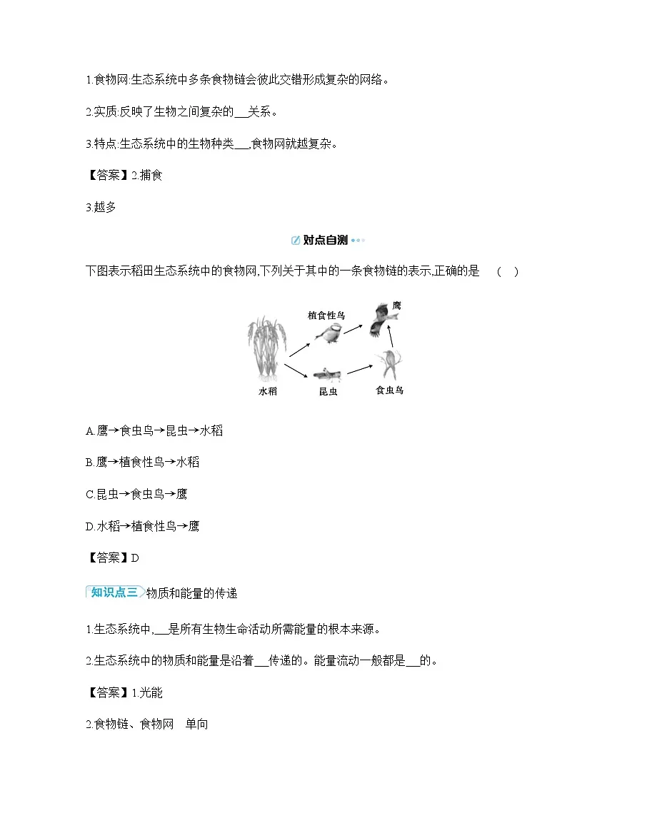 3.7.2 食物链和食物网 导学案 （含答案）苏教版初中生物学七年级下册第2页