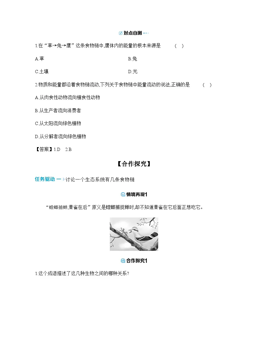 3.7.2 食物链和食物网 导学案 （含答案）苏教版初中生物学七年级下册第3页