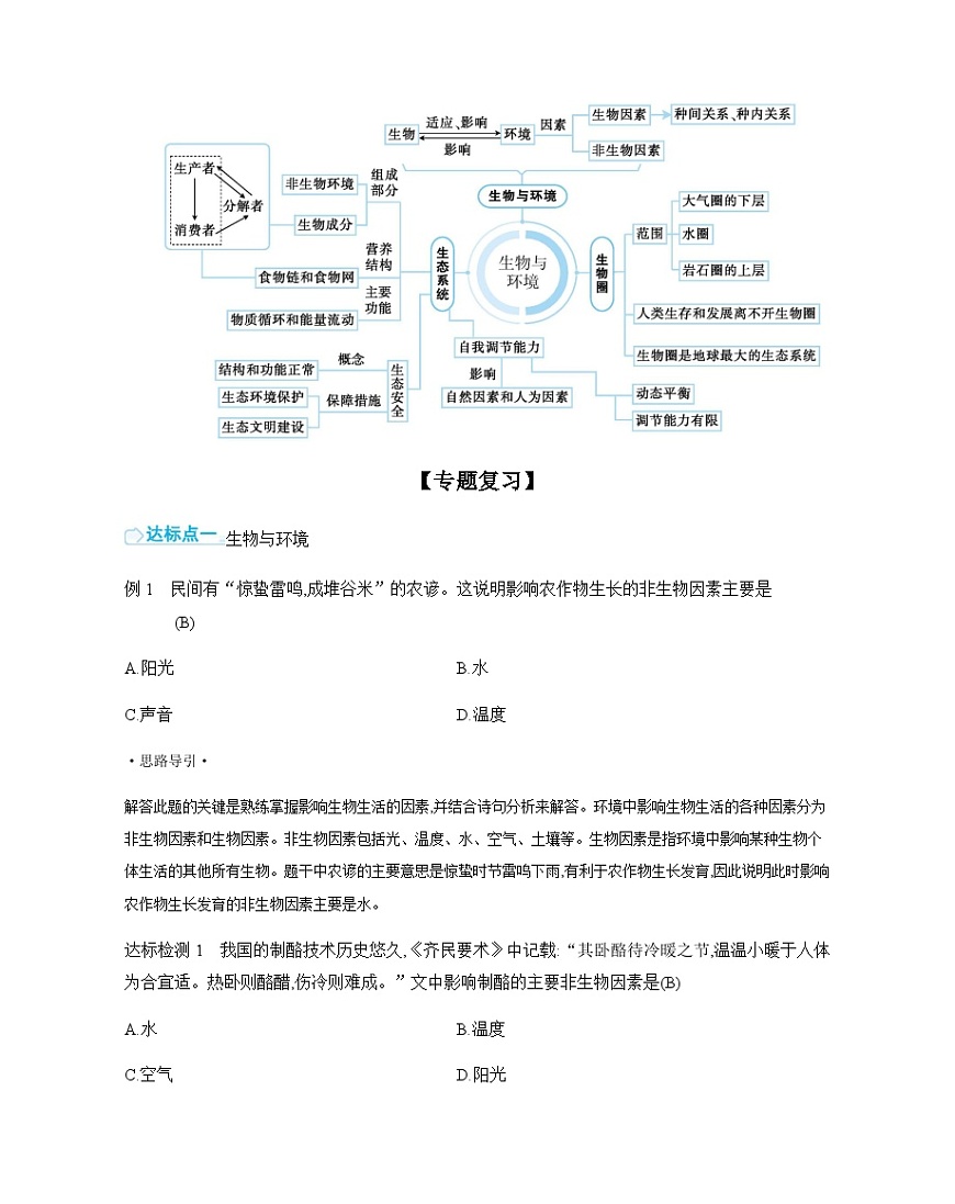 第3单元 复习课 导学案 （含答案）苏教版初中生物七年级下册第2页