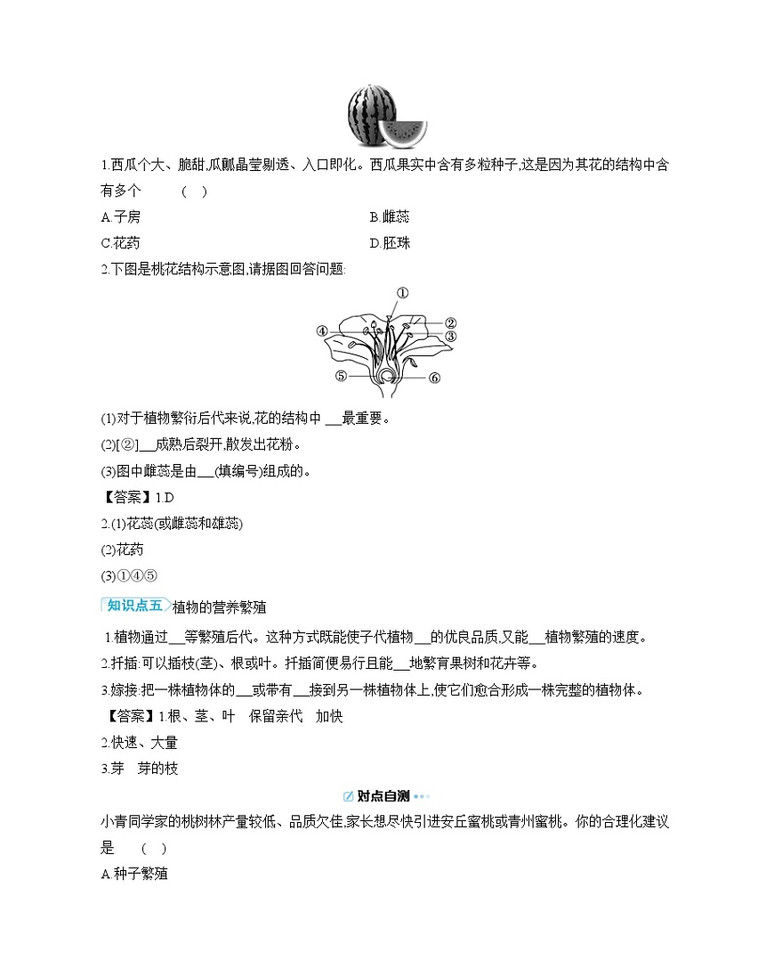 4.9.3 植物的繁殖 导学案（含答案） 苏教版初中生物 七年级下册第3页