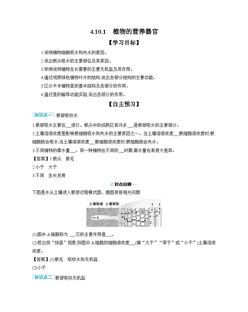 4.10.1 植物的营养器官 导学案（含答案）苏教版初中生物 七年级下册第1页