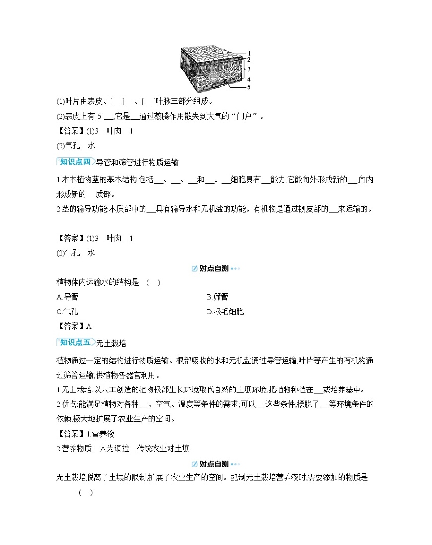 4.10.1 植物的营养器官 导学案（含答案）苏教版初中生物 七年级下册第3页