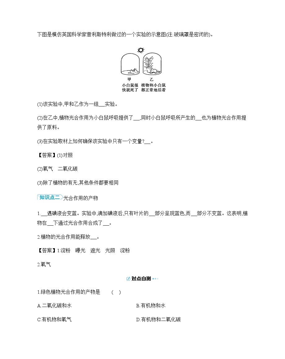 4.11.1 植物的光合作用 导学案（含答案）苏教版初中生物 七年级下册第2页