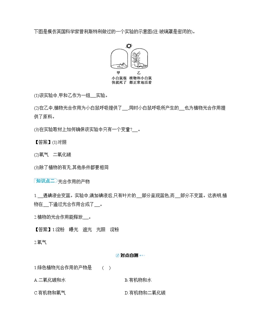 4.11.1 植物的光合作用 导学案（含答案）苏教版初中生物 七年级下册第2页