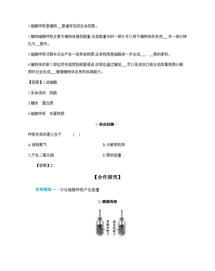 4.11.2 植物的呼吸作用 导学案 （含答案）苏教版初中生物七年级下册第3页